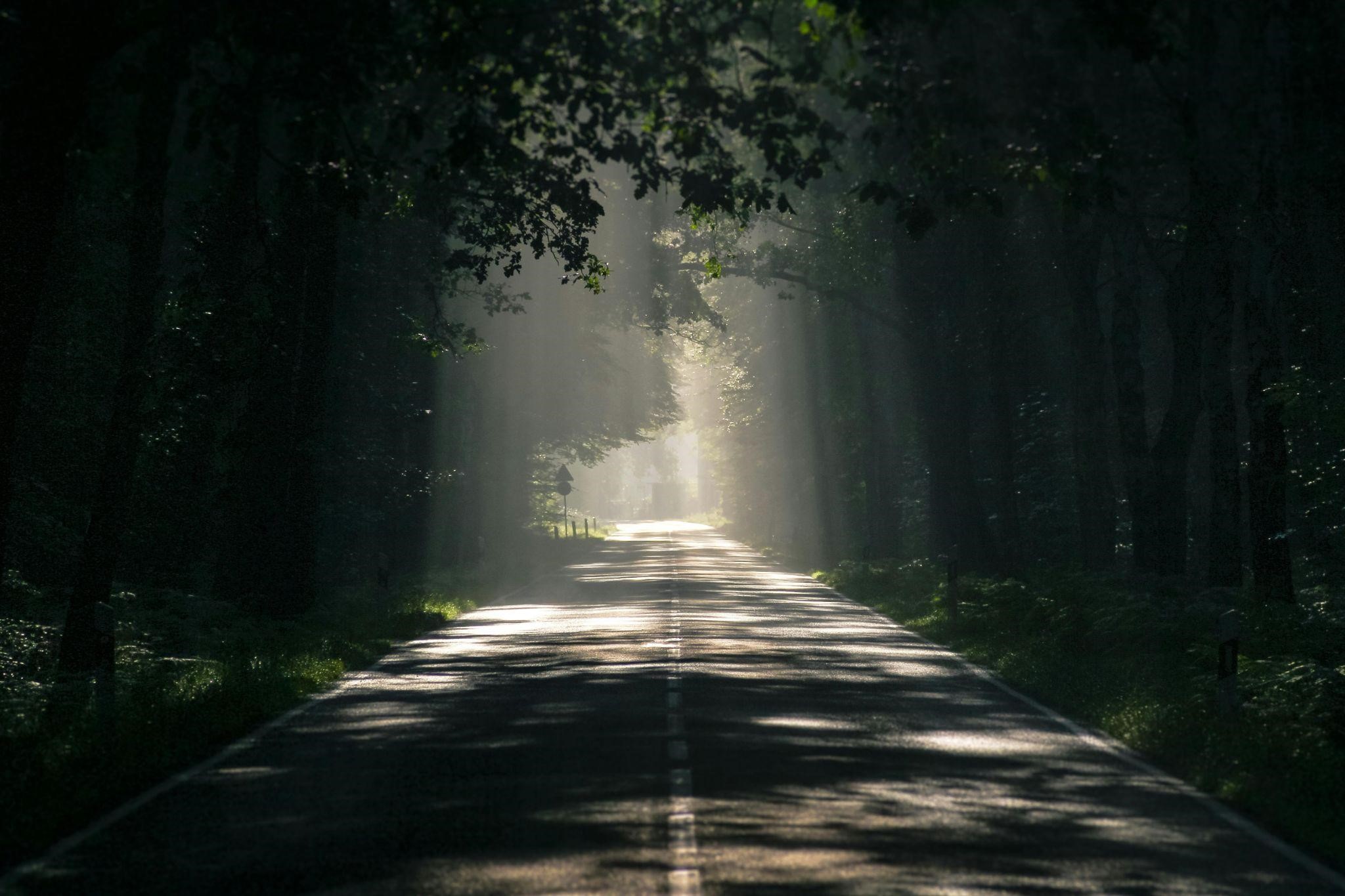 A serene road runs through a forest, conveying how to have faith in God in uncertain times.